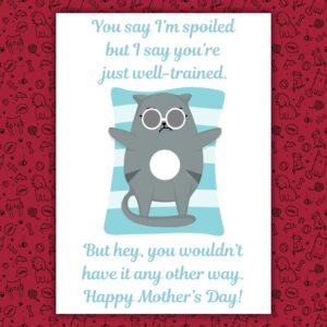 I Tolerate Your Existence Sarcastic Mother’s Day Card From The Cat